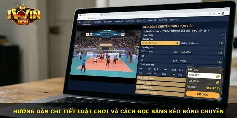 Hướng dẫn chi tiết luật chơi và cách đọc bảng kèo bóng chuyền