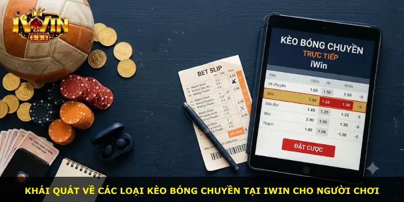 Khái quát về các loại kèo bóng chuyền tại iWin cho người chơi