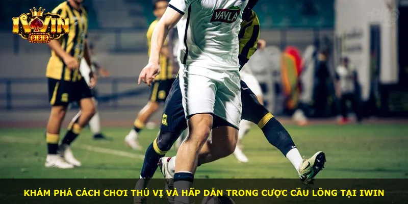 Khám phá cách chơi thú vị và hấp dẫn trong cược cầu lông tại iWin