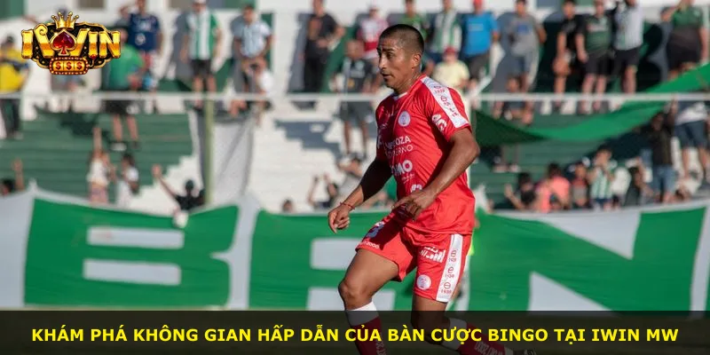 Khám phá không gian hấp dẫn của bàn cược Bingo tại iWin MW