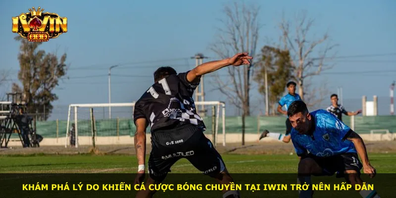 Khám phá lý do khiến cá cược bóng chuyền tại iWin trở nên hấp dẫn