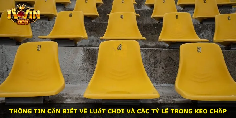 Thông tin cần biết về luật chơi và các tỷ lệ trong kèo chấp