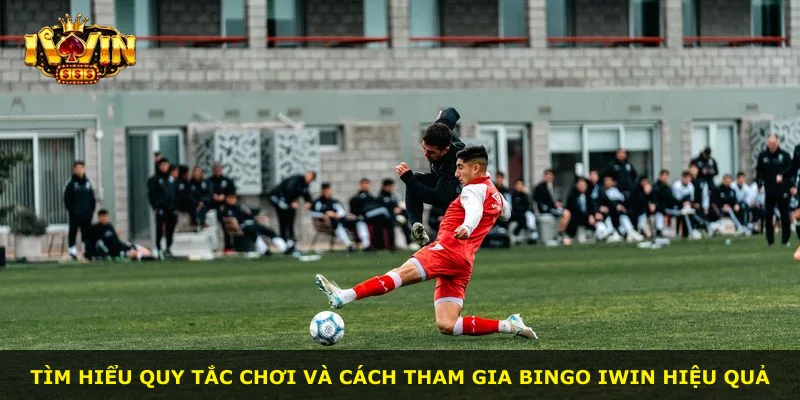 Tìm hiểu quy tắc chơi và cách tham gia Bingo iWin hiệu quả