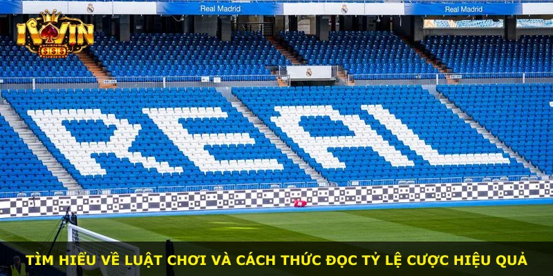 Tìm hiểu về luật chơi và cách thức đọc tỷ lệ cược hiệu quả